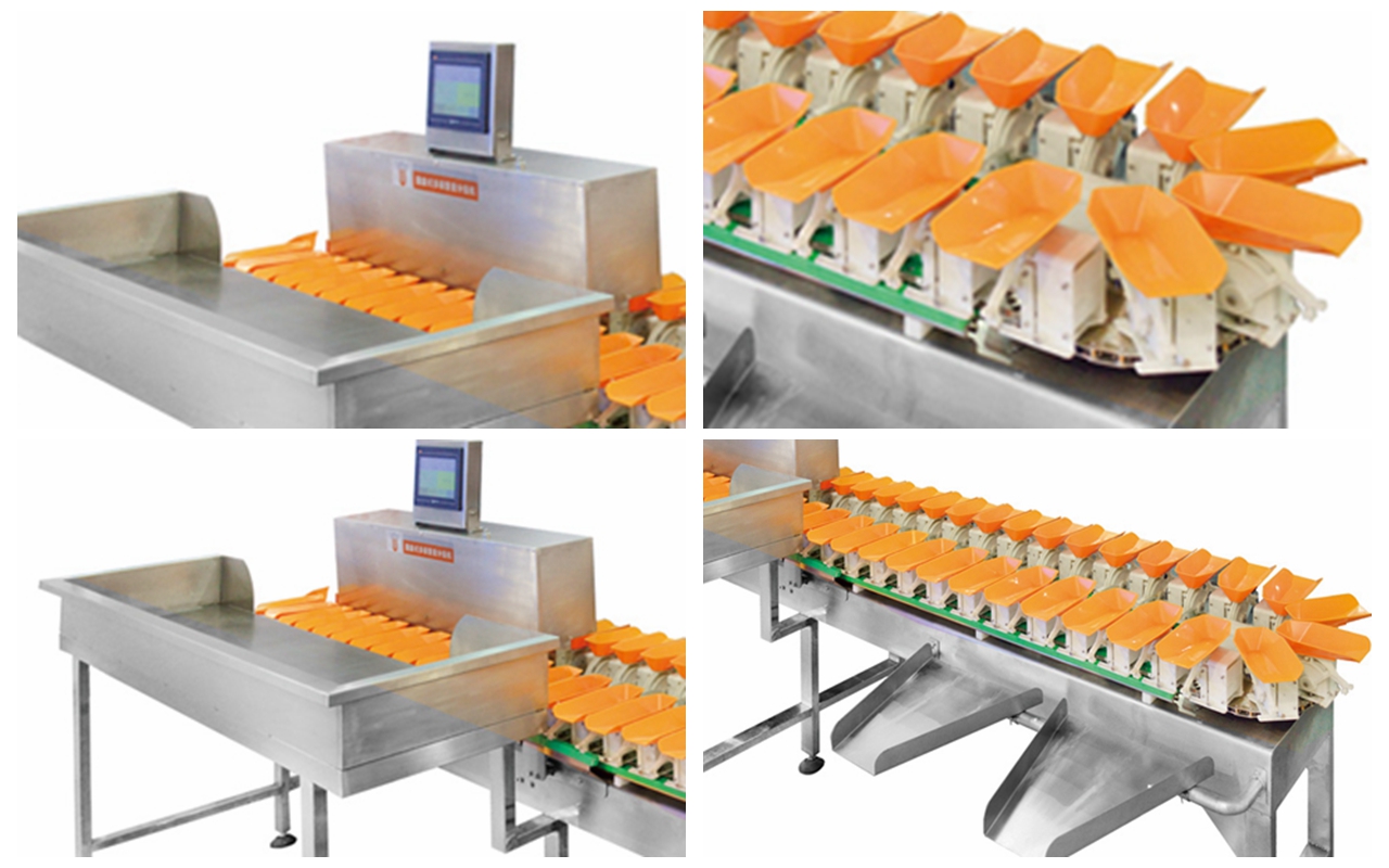 trieuse automatique circulaire multi-poids